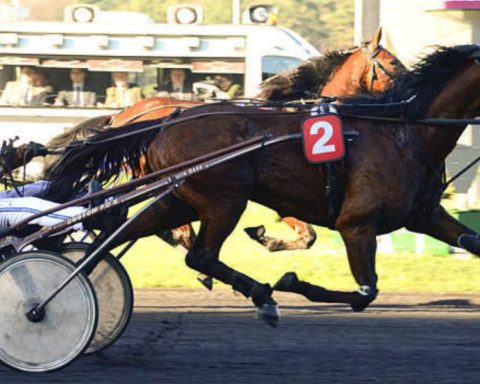 Quinté du mardi 26 mai 2026 à Vincennes: les pronostics
