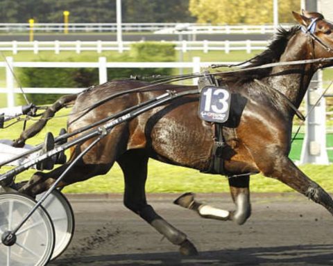 Quinté du vendredi 29 mai 2026 à Vincennes: les pronostics
