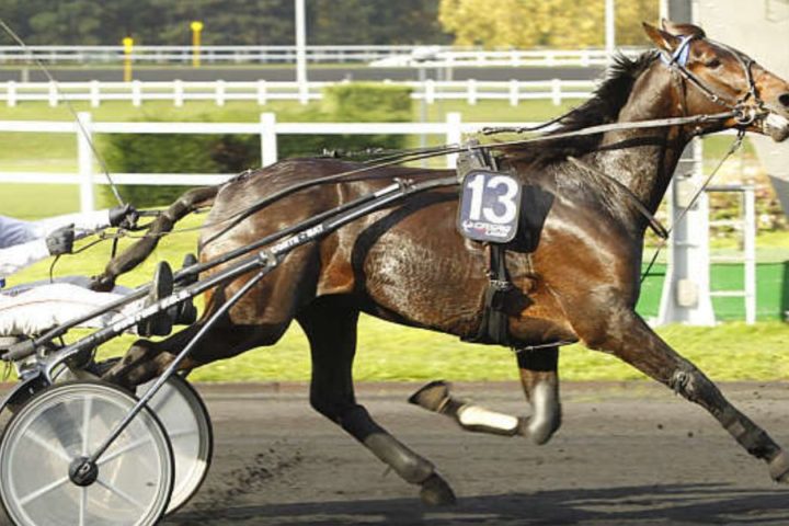Quinté du vendredi 29 mai 2026 à Vincennes: les pronostics
