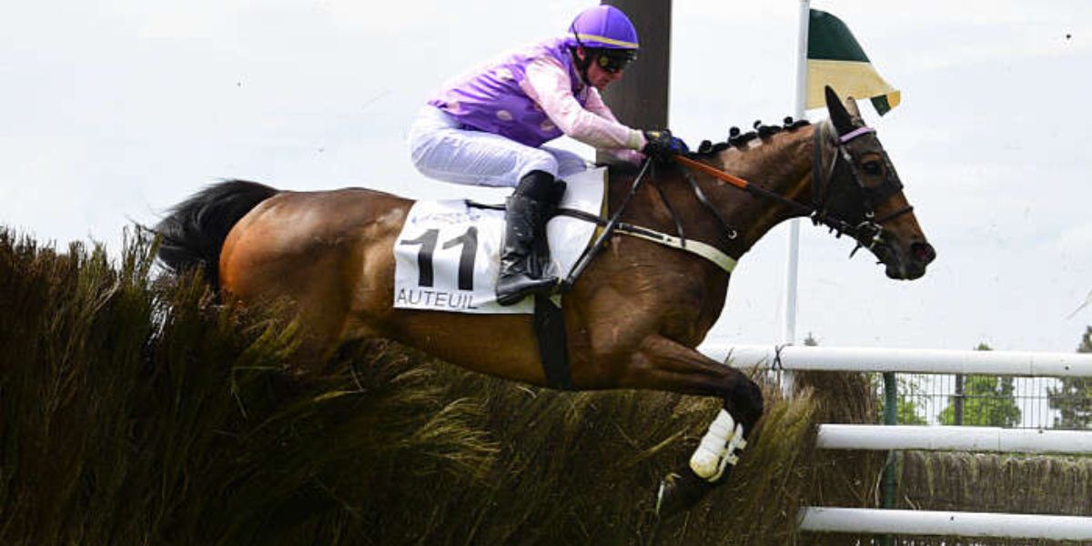 Quinté du samedi 30 mai 2026 à Auteuil: les pronostics