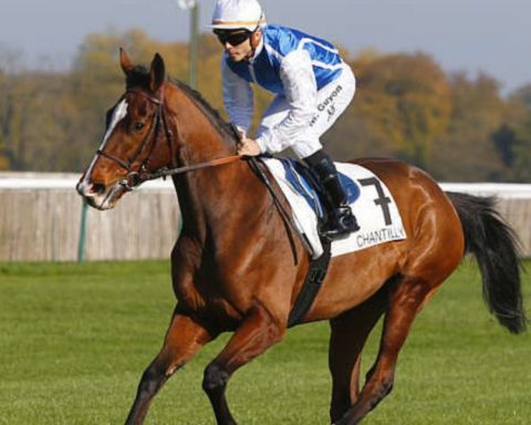 Quinté du dimanche 31 mai 2026 à Chantilly: les pronostics