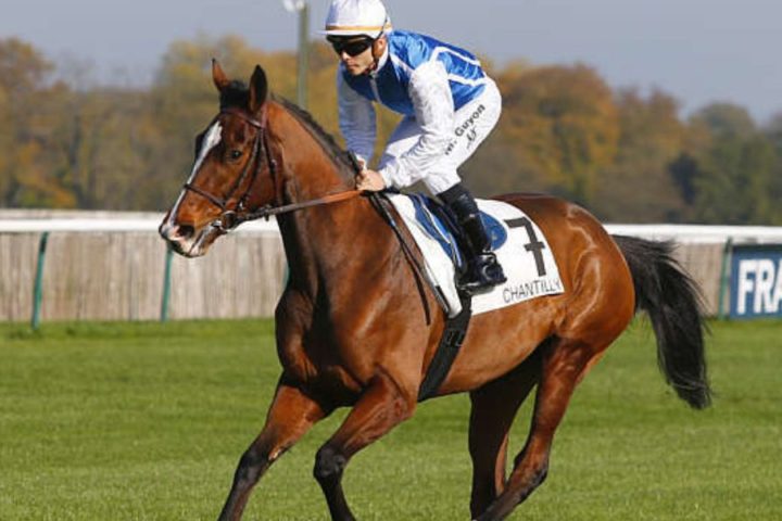 Quinté du dimanche 31 mai 2026 à Chantilly: les pronostics