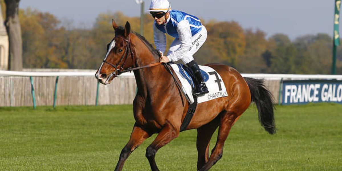 Quinté du dimanche 31 mai 2026 à Chantilly: les pronostics
