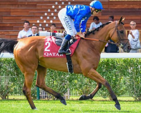 Quinté du jeudi 2 juillet 2026 à Longchamp: les pronostics
