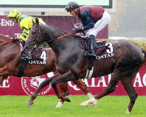Quinté du jeudi 4 juin 2026 à Longchamp: les pronostics