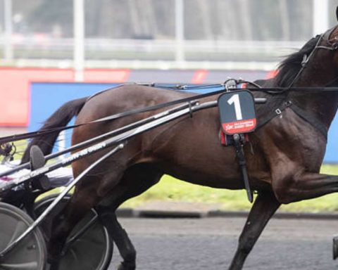 Quinté du vendredi 5 juin 2026 à Vincennes: les pronostics