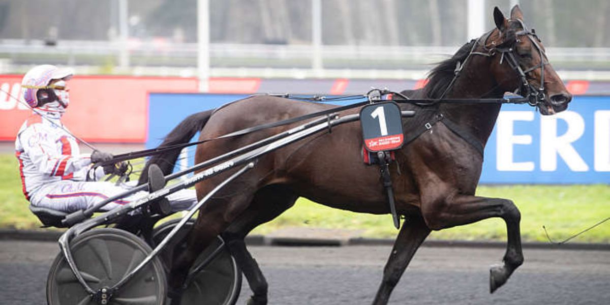 Quinté du vendredi 5 juin 2026 à Vincennes: les pronostics