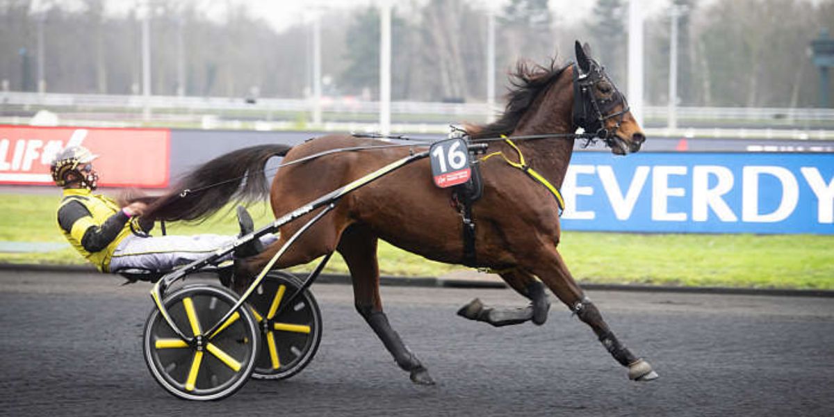 Quinté du samedi 6 juin 2026 à Vincennes: les pronostics