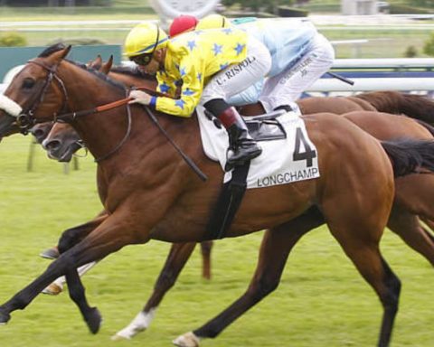 Quinté du dimanche 7 juin 2026 à Longchamp: les pronostics