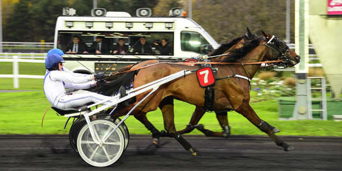 Quinté du vendredi 12 juin 2026 à Vincennes: les pronostics