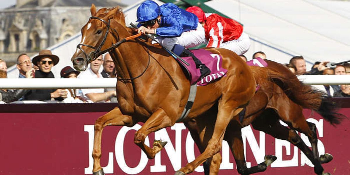 Quinté du dimanche 14 juin 2026 à Chantilly: les pronostics