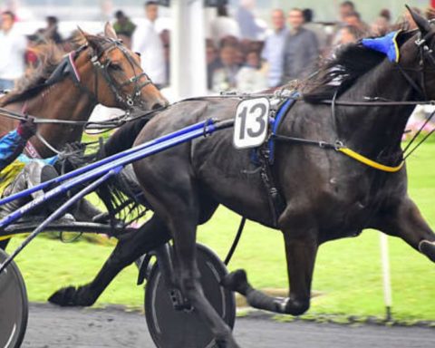 Quinté du dimanche 21 juin 2026 à Vincennes: les pronostics