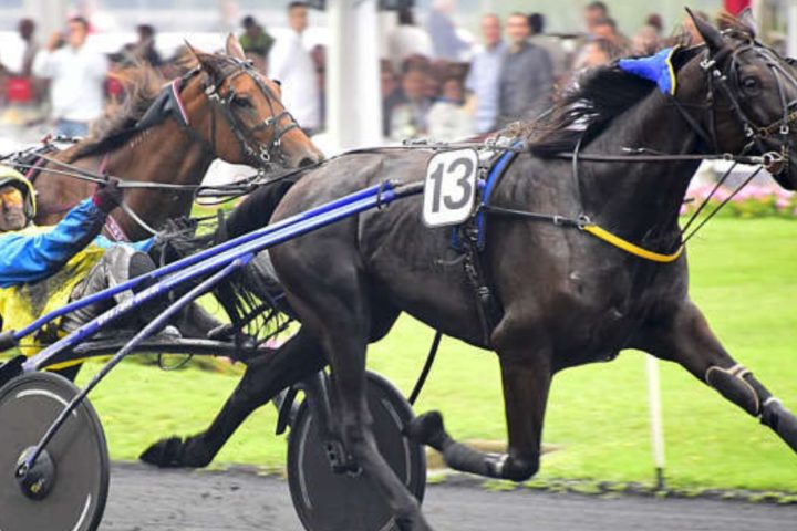 Quinté du dimanche 21 juin 2026 à Vincennes: les pronostics