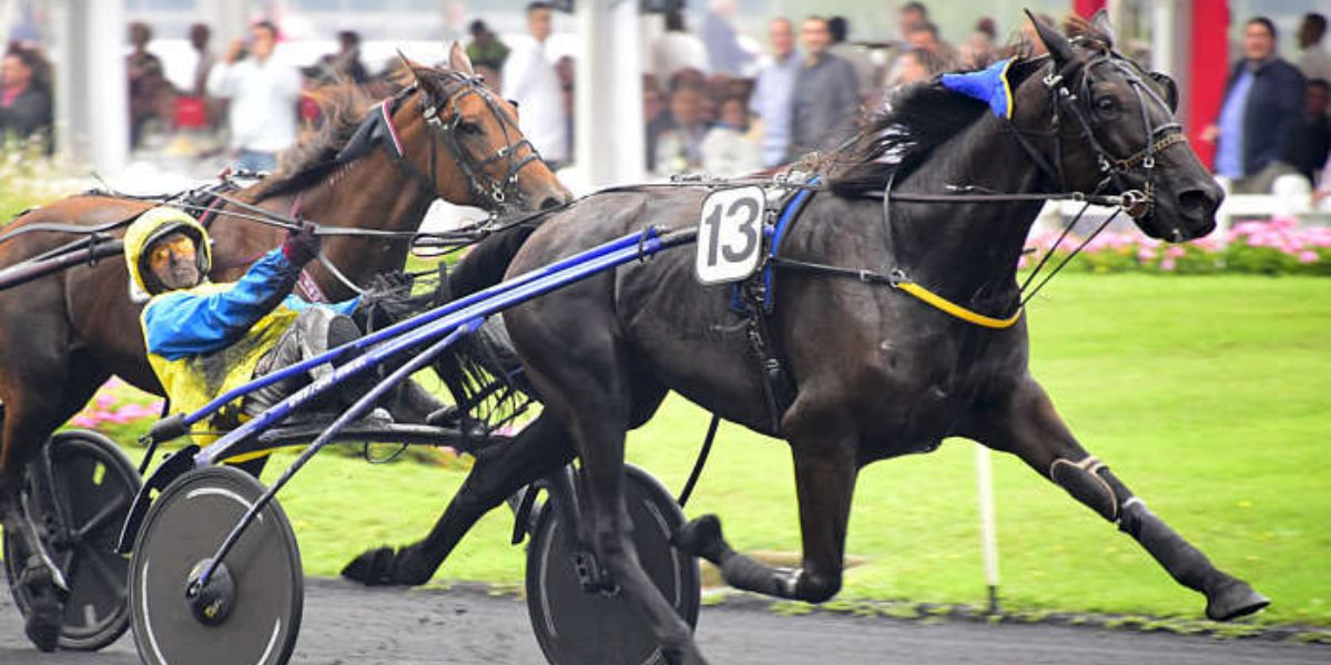 Quinté du dimanche 21 juin 2026 à Vincennes: les pronostics