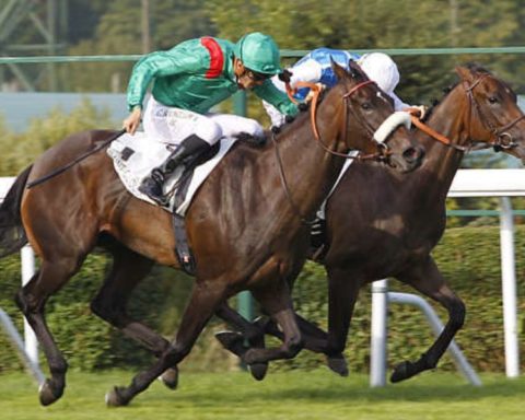 Quinté du dimanche 28 juin 2026 à Saint-Cloud: les pronostics