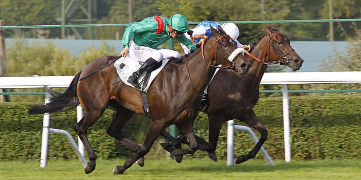 Quinté du dimanche 28 juin 2026 à Saint-Cloud: les pronostics