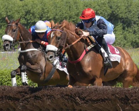 Quinté du lundi 29 juin 2026 à Clairefontaine: les pronostics