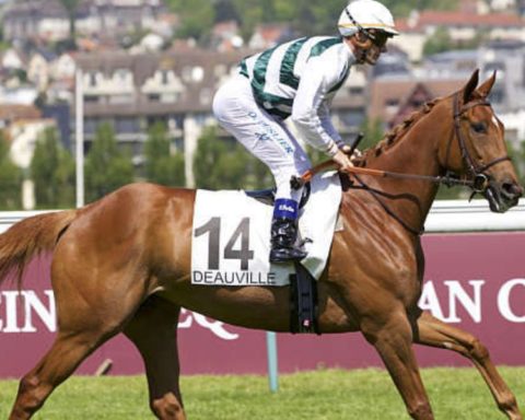 Quinté du dimanche 2 août 2026 à Deauville: les pronostics