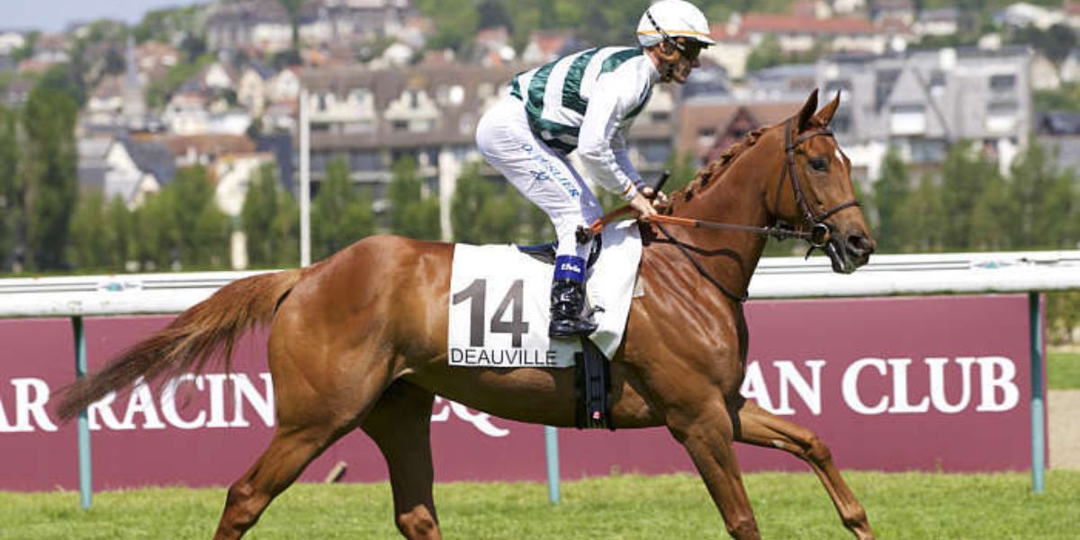 Quinté du dimanche 2 août 2026 à Deauville: les pronostics