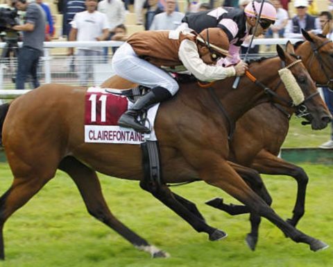Quinté du lundi 3 août 2026 à Clairefontaine: les pronostics