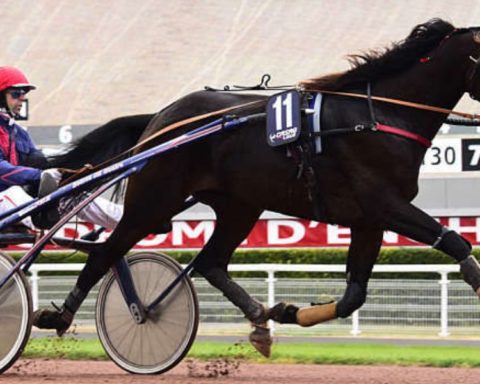 Quinté du samedi 4 juillet 2026 à Enghien: les pronostics