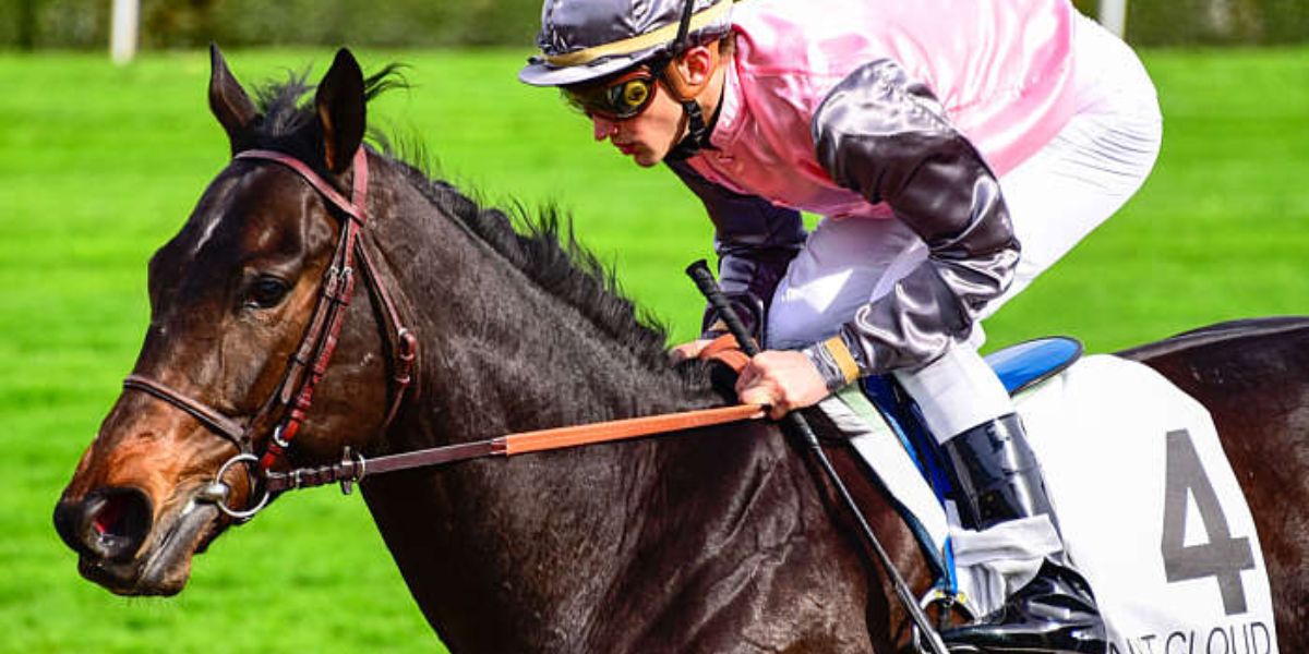 Quinté du dimanche 5 juillet 2026 à Saint-Cloud: les pronostics