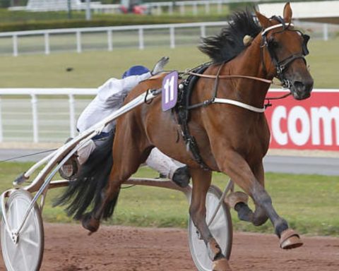 Quinté du lundi 6 juillet 2026 aux Sables d'Olonne: les pronostics