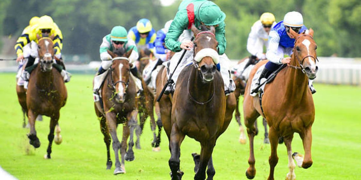 Quinté du mardi 7 juillet 2026 à Chantilly: les pronostics