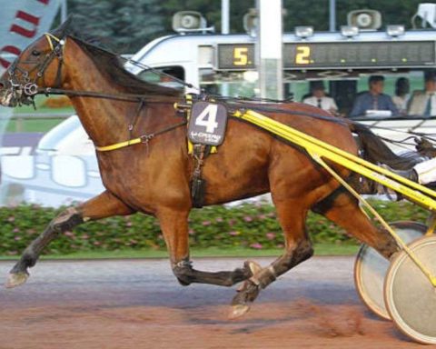 Quinté du vendredi 10 juillet 2026 à Cabourg: les pronostics