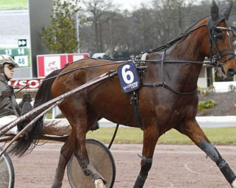 Quinté du samedi 11 juillet 2026 à Enghien: les pronostics