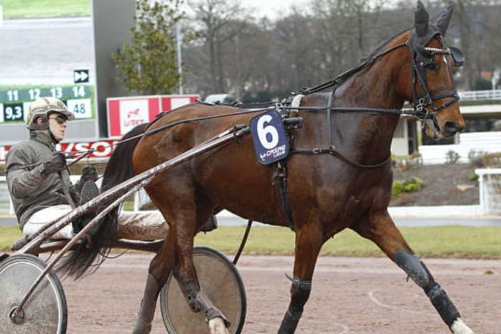 Quinté du samedi 11 juillet 2026 à Enghien: les pronostics