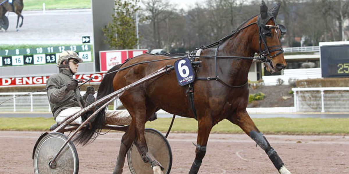 Quinté du samedi 11 juillet 2026 à Enghien: les pronostics