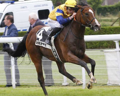 Quinté du lundi 13 juillet 2026 à Dieppe: les pronostics