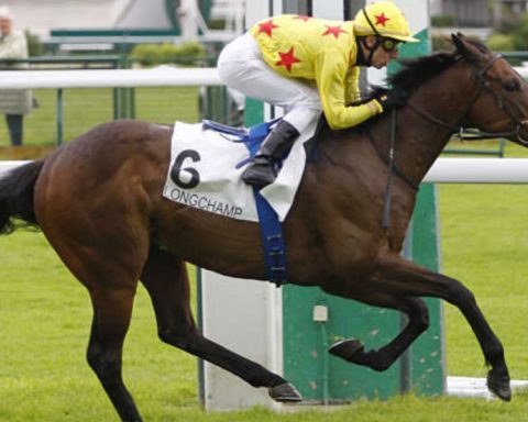 Quinté du mardi 14 juillet 2026 à Longchamp: les pronostics