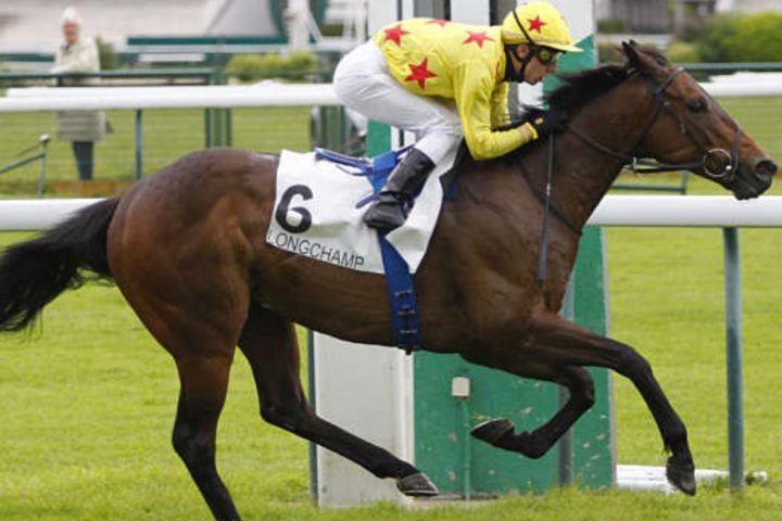 Quinté du mardi 14 juillet 2026 à Longchamp: les pronostics