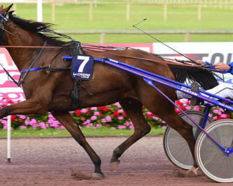 Quinté du vendredi 17 juillet 2026 à Cabourg: les pronostics