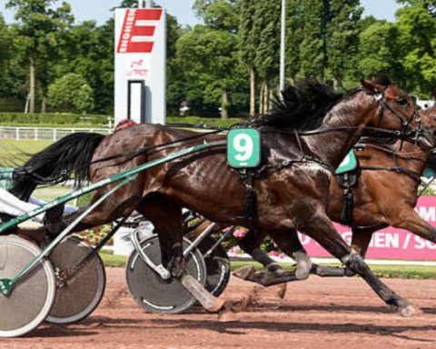 Quinté du samedi 18 juillet 2026 à Enghien: les pronostics