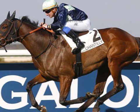 Quinté du dimanche 19 juillet 2026 à Chantilly: les pronostics