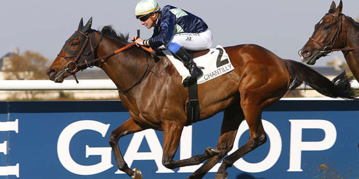Quinté du dimanche 19 juillet 2026 à Chantilly: les pronostics