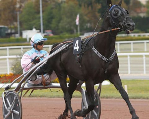 Quinté du samedi 25 juillet 2026 à Enghien: les pronostics