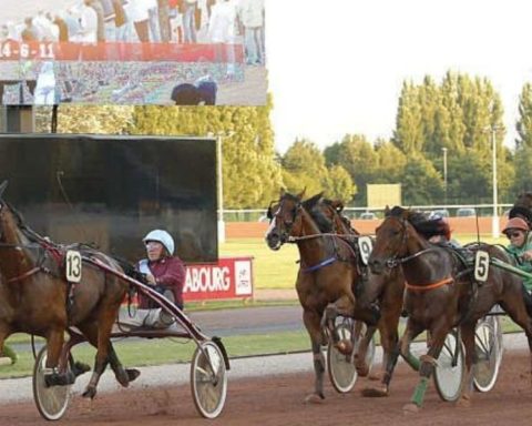 Quinté du vendredi 31 juillet 2026 à Cabourg: les pronostics