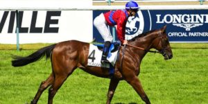 Quinté du mardi 1er septembre 2026 à Deauville: les pronostics