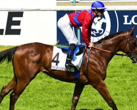 Quinté du mardi 1er septembre 2026 à Deauville: les pronostics