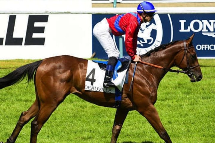 Quinté du mardi 1er septembre 2026 à Deauville: les pronostics