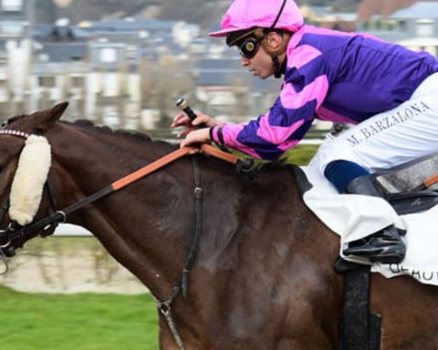 Quinté du dimanche 4 août 2026 à Deauville: les pronostics