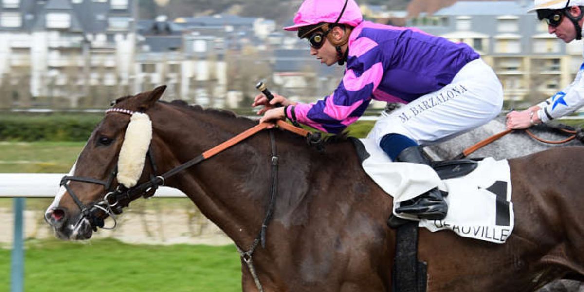 Quinté du dimanche 4 août 2026 à Deauville: les pronostics