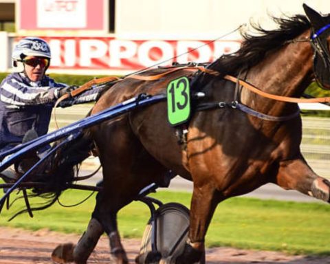 Quinté du jeudi 6 août 2026 à Enghien: les pronostics