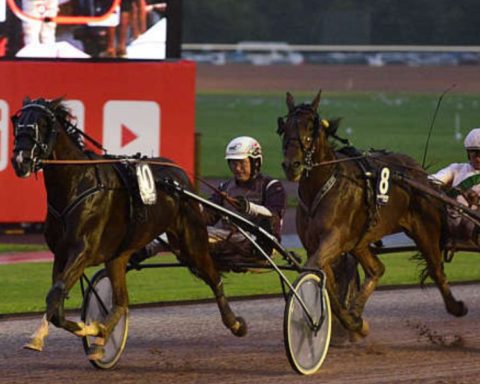 Quinté du vendredi 7 août 2026 à Cabourg: les pronostics