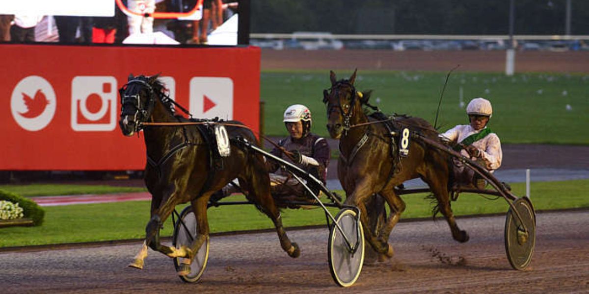 Quinté du vendredi 7 août 2026 à Cabourg: les pronostics