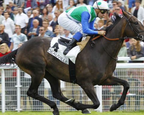 Quinté du samedi 8 août 2026 à Deauville: les pronostics